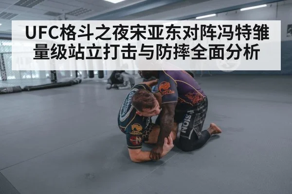UFC格斗之夜宋亚东对阵冯特雏量级站立打击与防摔全面分析